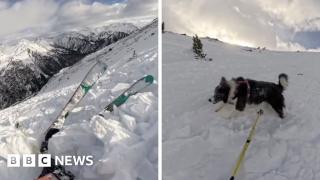 Moment skier and dog swept along by avalanche