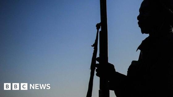 'Massive' numbers killed by gunmen in latest Nigeria attack, senator tells BBC
