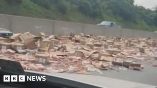 Hot dog spill brings US highway to standstill
