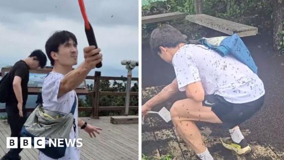 Millions of ‘lovebugs’ swarm hikers in South Korea