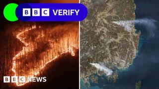 Satellite images reveal how South Korea wildfires spread
