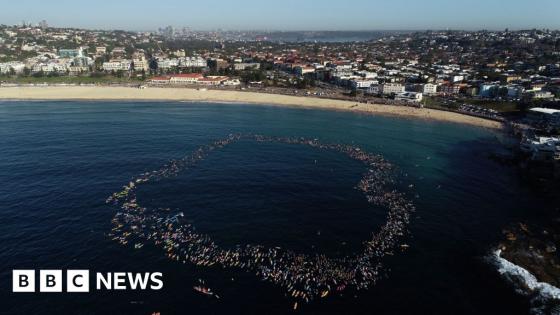 Surfers and swimmers pay tribute to victims of Bondi shooting