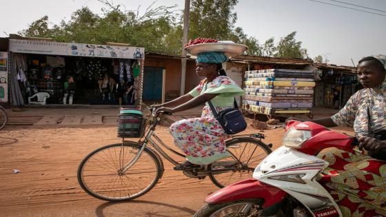 Deadly Sahel heatwave caused by ‘human-induced’ climate change: Study | Climate News