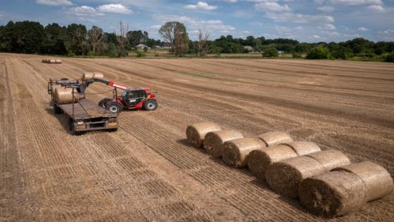 Ukraine detains agriculture minister in $7m corruption case | Russia-Ukraine war News