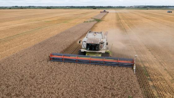 Ukraine’s agriculture minister suspected of corrupt land grab | Corruption News