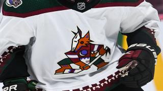 Voters reject plan for new Arizona Coyotes arena in Tempe: Will the franchise relocate?