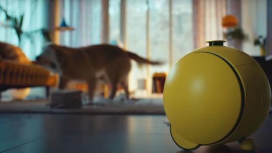 Samsung’s working on a robot for your pets that’ll even clean up dog mess