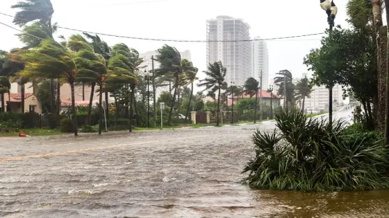 Florida braces for next hurricane