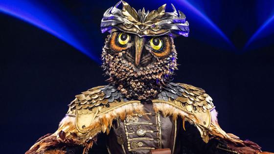 ‘Wasn’t on my bingo card’ – Former Tottenham star leaves fans stunned as he’s unmasked as singing owl on hit TV show