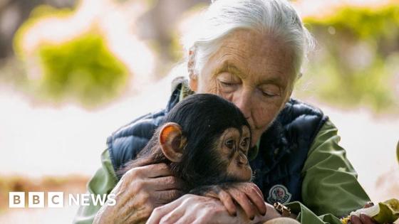 Jane Goodall tells BBC how she became interested in animals