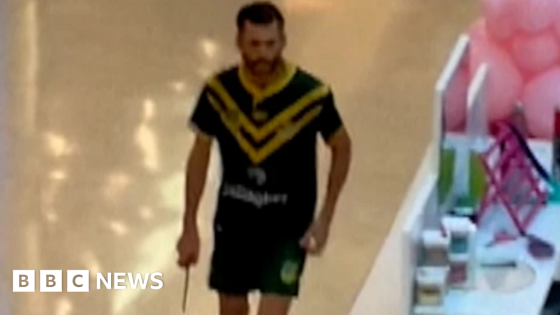 Doctor who treated Bondi Junction mass killer referred to health regulator