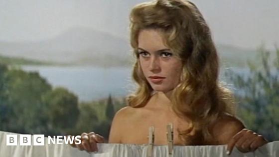 From French cinema to international fame