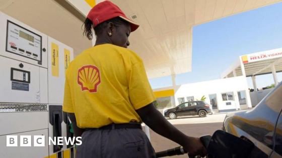 Senegal bans ministers from foreign travel as oil price rise bites