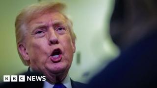 Trump says he ‘didn’t see’ part of video with racist clip depicting Obamas as apes