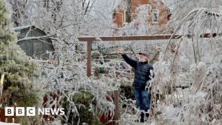 Frozen trees snap in Ontario ice storm