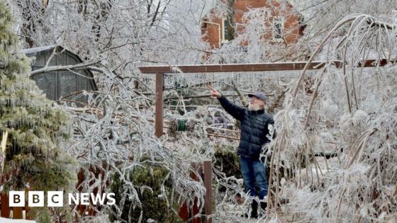 Frozen trees snap in Ontario ice storm