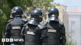 Senegal arrests 14 members of alleged paedophile gang linked to France