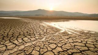 June-August 2024 were hottest ever recorded: EU monitor