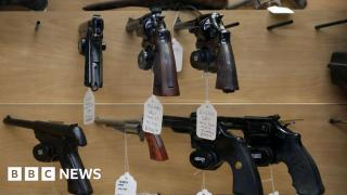 What are Canada’s gun ownership laws?