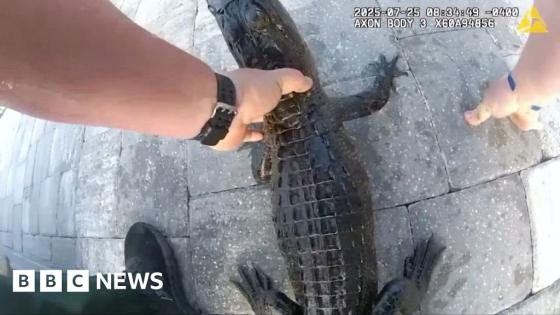Florida officer pulls alligator from pool with bare hands