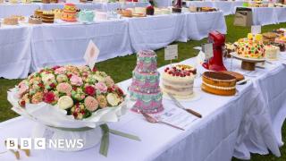 Frosting, sprinkles and layers of fun: Giant cake picnic hits Sydney