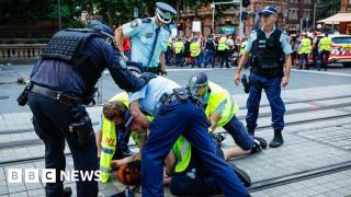 Sydney police to be investigated by watchdog after anti-Herzog protest violence