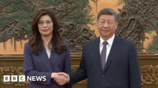 Taiwan opposition leader meets Xi Jinping in Beijing