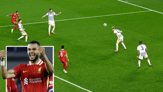 Brighton 2 Liverpool 3: Cody Gakpo nets pair of rockets as much-changed Reds cling on to Carabao Cup quarter-finals