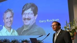 US duo win medicine Nobel for gene regulation discovery