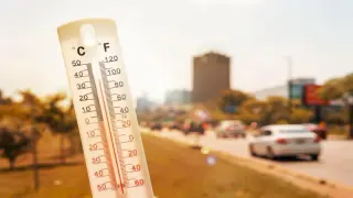 World sees record August heat for second year running