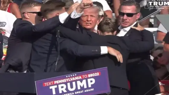 Trump safe after apparent assassination attempt, person in custody